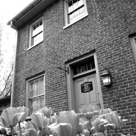 black and white photograph of flowers in front of a brick building